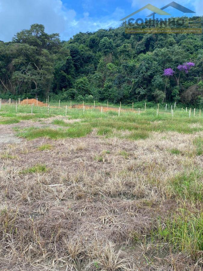 WhatsApp Image 2026-03-31 at 17.26.55 (2).jpeg